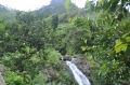 grenada, caribbean, west indie-137